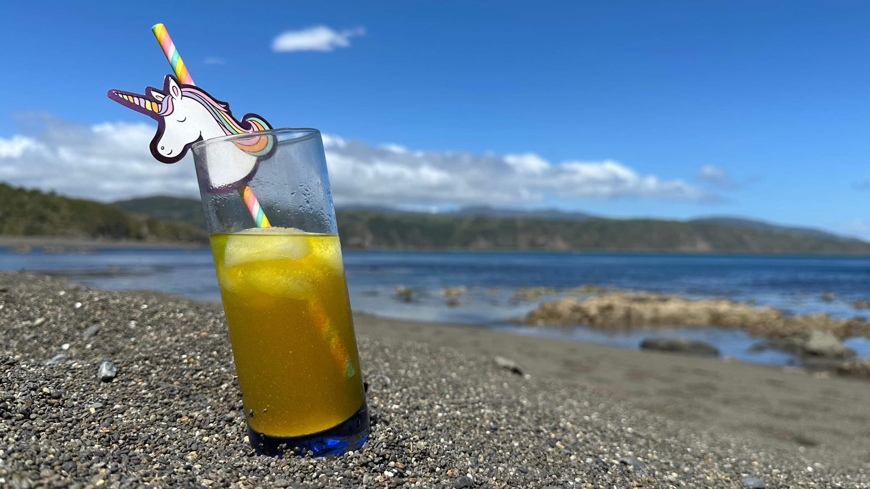 New Zealand holiday party