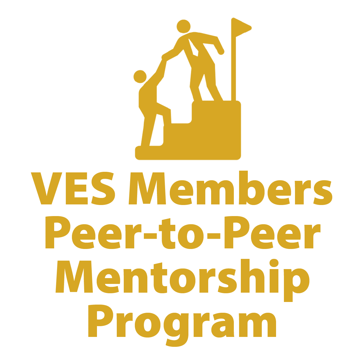 VES Members Peer-to-Peer Mentorship Program